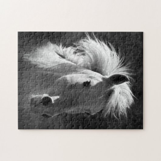 Pferdeportrait V Puzzle (Horizontal)