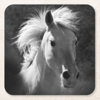 Pferdeportrait V