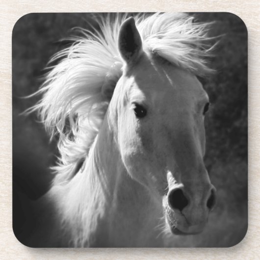 Pferdeportrait V Untersetzer (Vorderseite)