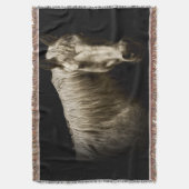 Pferdeportrait VI Decke (Vorderseite Vertikal)