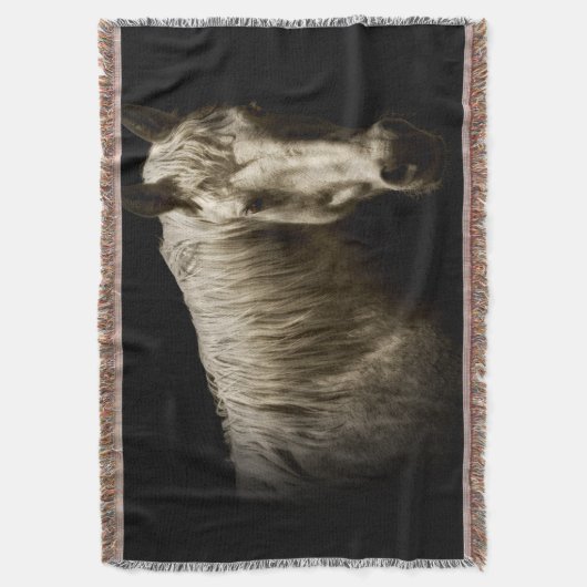 Pferdeportrait VI Decke (Vorderseite Vertikal)