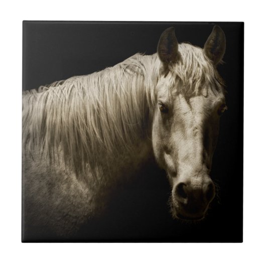 Pferdeportrait VI Fliese (Vorderseite)