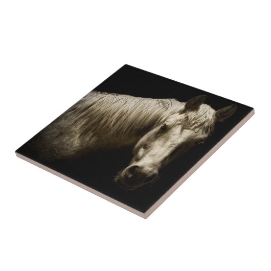 Pferdeportrait VI Fliese (Seite)