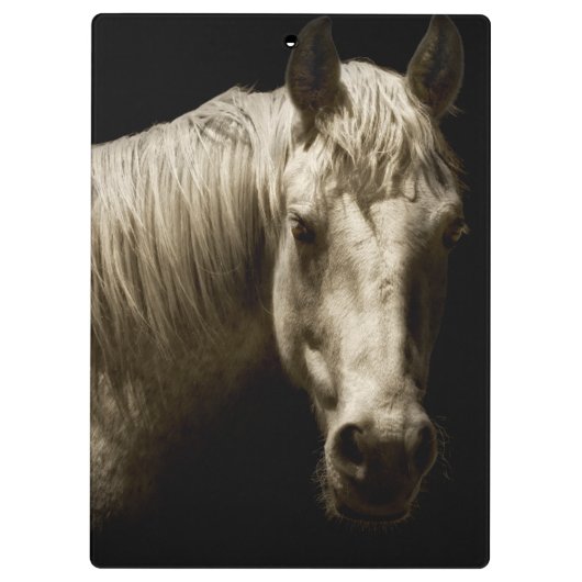 Pferdeportrait VI Klemmbrett (Rückseite)