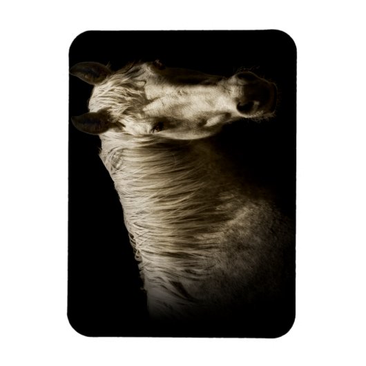 Pferdeportrait VI Magnet (Vertikal)