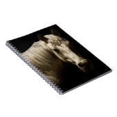 Pferdeportrait VI Notizblock (Rechte Seite)