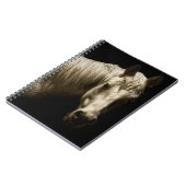 Pferdeportrait VI Notizblock (Linke Seite)