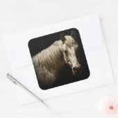 Pferdeportrait VI Quadratischer Aufkleber (Umschlag)