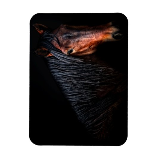 Pferdeportrait VII Magnet (Vertikal)