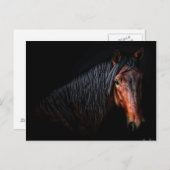 Pferdeportrait VII Postkarte (Vorne/Hinten)