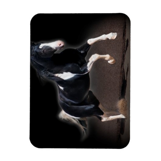 Pferdeportrait VIII Magnet (Vertikal)