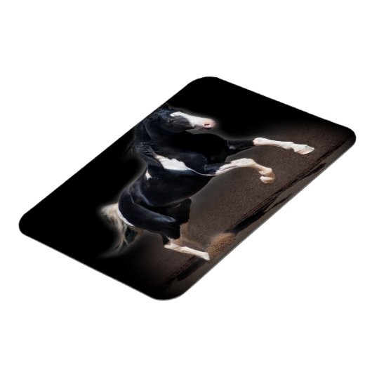 Pferdeportrait VIII Magnet (Linke Seite)