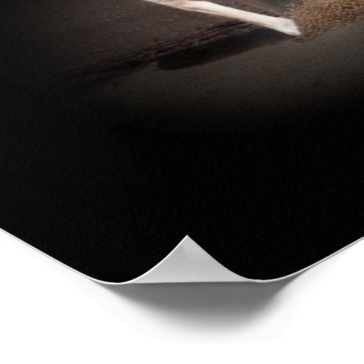 Pferdeportrait VIII Poster (Ecke)