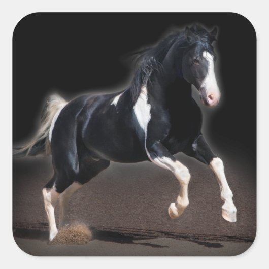Pferdeportrait VIII Quadratischer Aufkleber (Vorderseite)