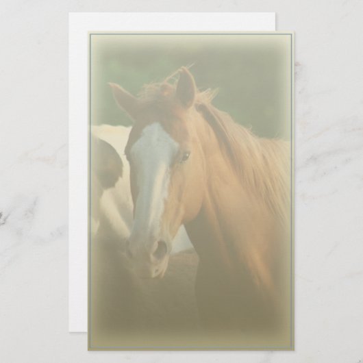 Pferdeporträt-Briefpapier Briefpapier (Vorne/Hinten)