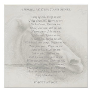Pferdeporträt-Gedicht-Petition an den Besitzer Vin Poster