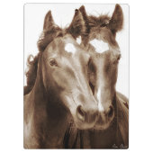 Pferdeporträt III Klemmbrett (Rückseite)