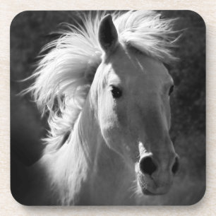 Pferdeporträt V Untersetzer
