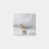 Pferdepost-itanmerkung Post-it Klebezettel (Vorderseite)