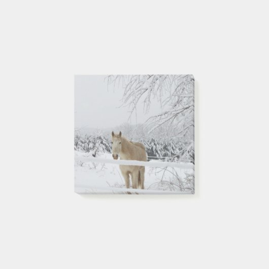 Pferdepost-itanmerkung Post-it Klebezettel (Vorderseite)