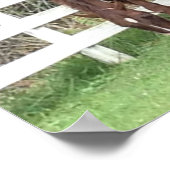 Pferdeposter: Amerikanisches Saddlebred Grazing Poster (Ecke)