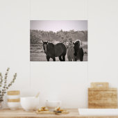 Pferdeposter Fotografie Poster (Küche)