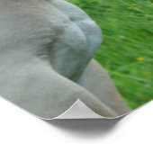 Pferdeposter Poster (Ecke)