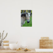 Pferdeposter Poster (Küche)