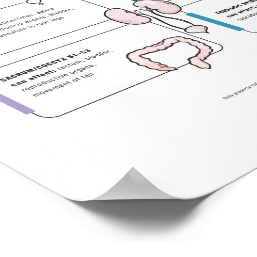 Pferdeposter Poster (Ecke)