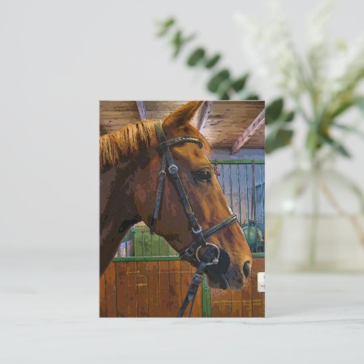 Pferdeposter Postkarte (Stehend Vorderseite)