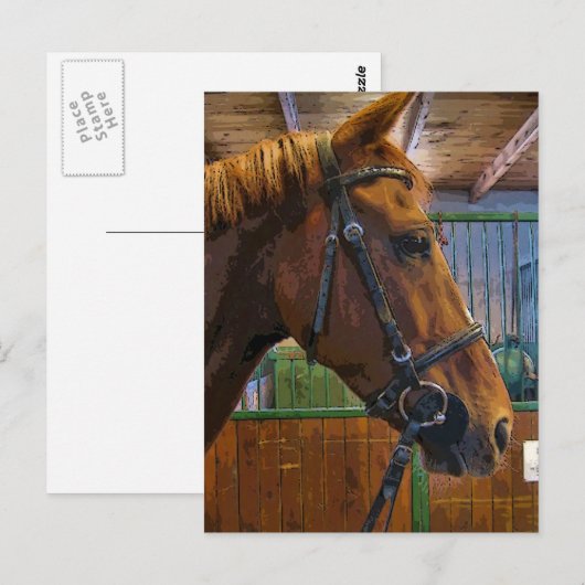 Pferdeposter Postkarte (Vorne/Hinten)