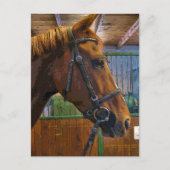 Pferdeposter Postkarte (Vorderseite)
