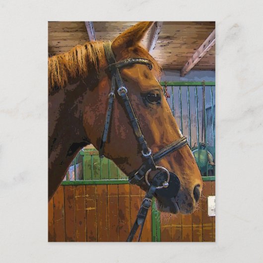 Pferdeposter Postkarte (Vorderseite)