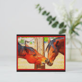 Pferdepostkarte - Der Nachmittagskuss Postkarte (Stehend Vorderseite)