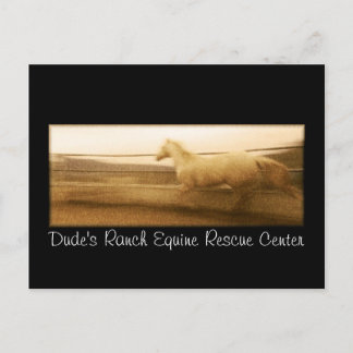 Pferdepostkarte Postkarte