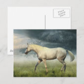 Pferdepostkarte Postkarte (Vorne/Hinten)