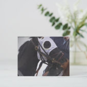 Pferdepostkarte Postkarte (Stehend Vorderseite)