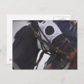 Pferdepostkarte Postkarte (Vorne/Hinten)