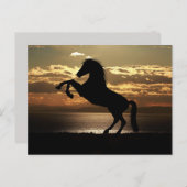 Pferdepostkarte Postkarte (Vorne/Hinten)