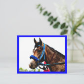 Pferdepostkarte Postkarte (Stehend Vorderseite)