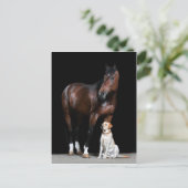 Pferdepostkarte Postkarte (Stehend Vorderseite)