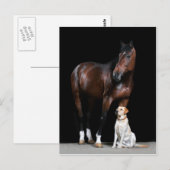 Pferdepostkarte Postkarte (Vorne/Hinten)