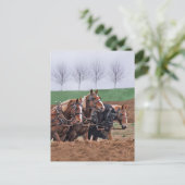 Pferdepostkarte Postkarte (Stehend Vorderseite)