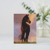 Pferdepostkarte Postkarte (Stehend Vorderseite)