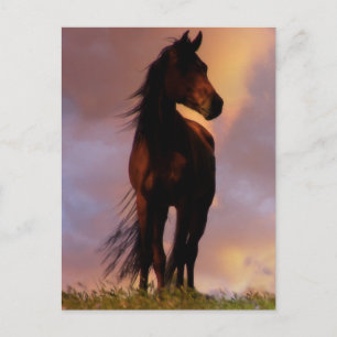 Pferdepostkarte Postkarte