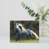 Pferdepostkarte Postkarte (Stehend Vorderseite)