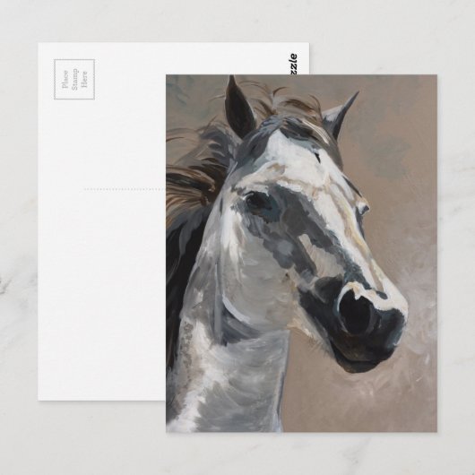 Pferdepostkarten Postkarte (Vorne/Hinten)