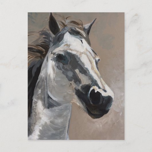 Pferdepostkarten Postkarte (Vorderseite)