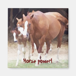 PferdePower! Magnet