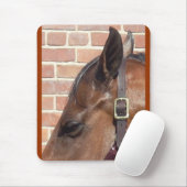 Pferdeprofil Mousepad (Mit Mouse)